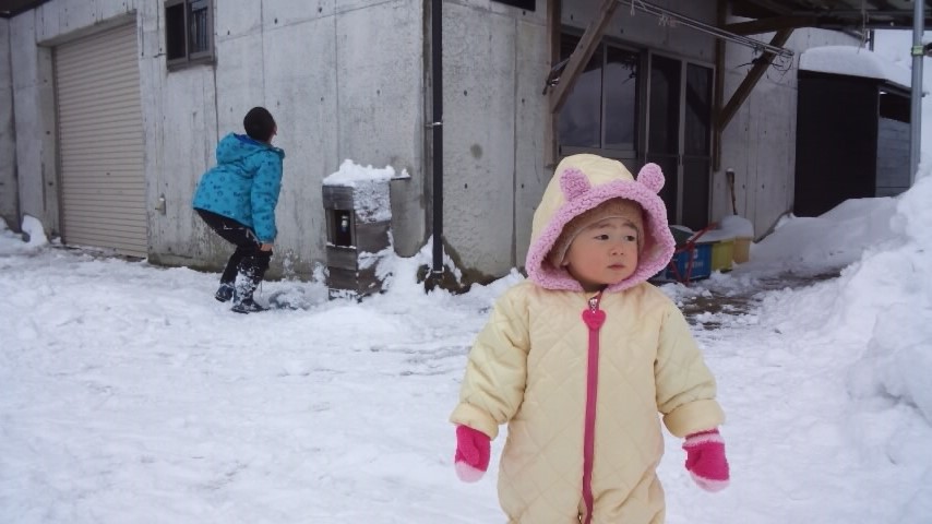 あけましておめでとうございます(*^_^*)